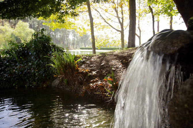 PARQUE FORESTAL MONTE DOS POZOS