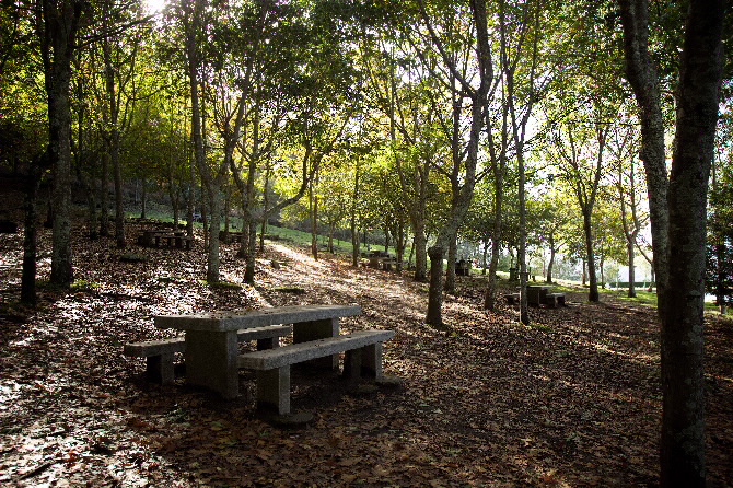 PARQUE FORESTAL MONTE DOS POZOS