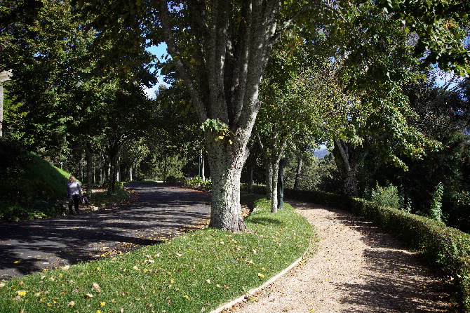 PARQUE DE LA GUÍA