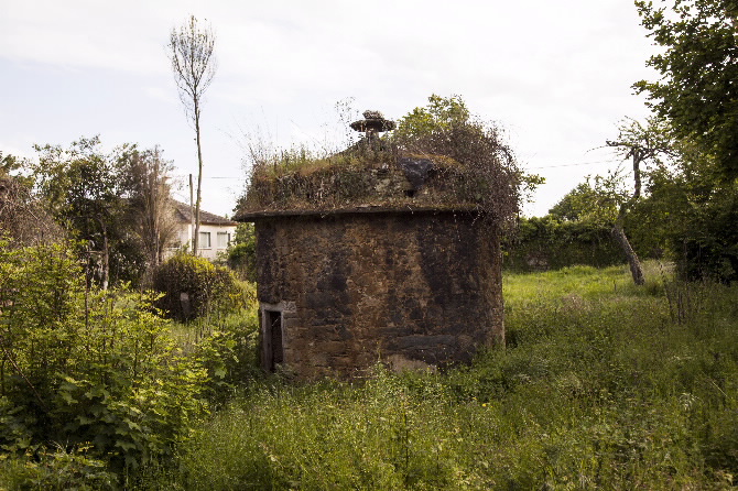SAN VITORIO DE RIBAS DE MIÑO