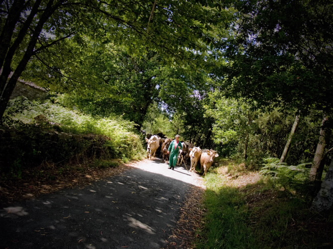 ECOAGROTURISMO ARQUEIXAL