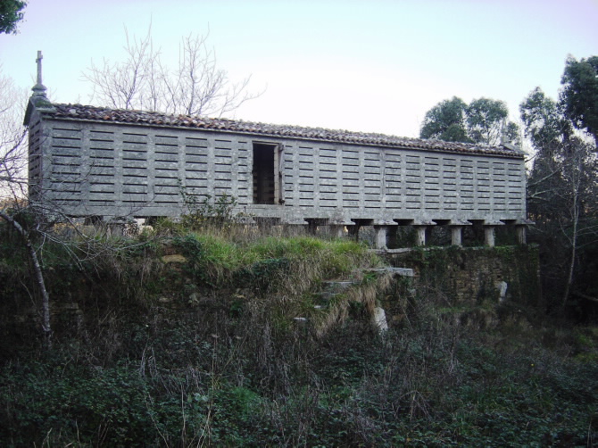 PAZO DE BOSQUE