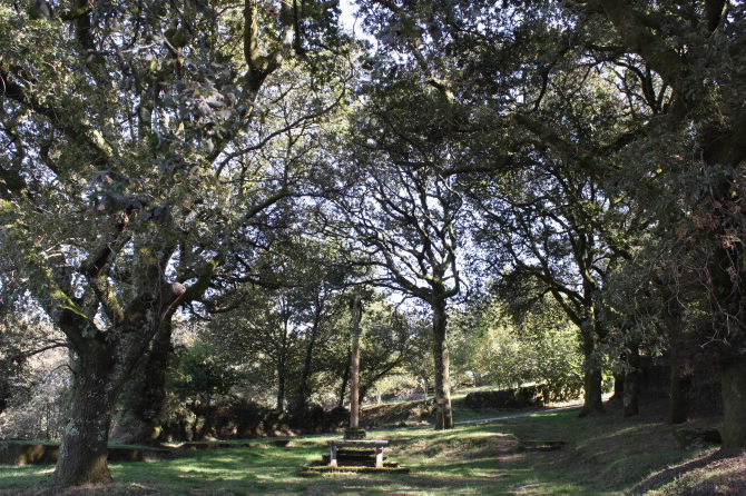 IGREXA DE SAN MARTIÑO DE REBORDELO