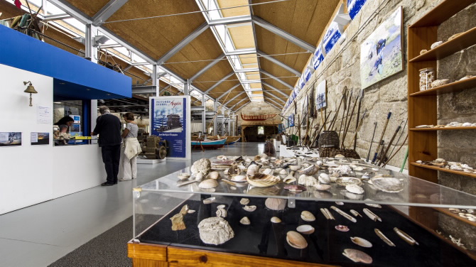 SALGADEIRAS DE MOREIRAS