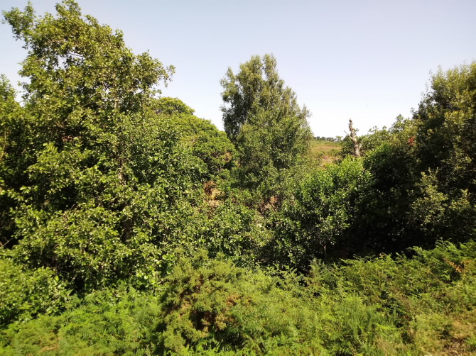 CONXUNTO DE MUÍÑOS DO RÍO LAGARES