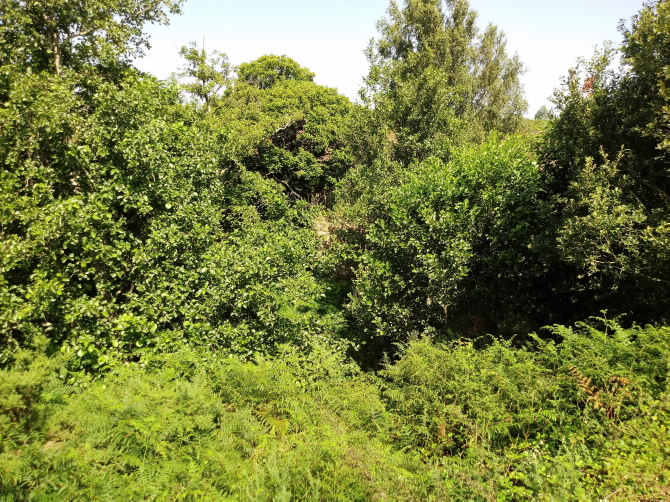 CONXUNTO DE MUÍÑOS DO RÍO LAGARES