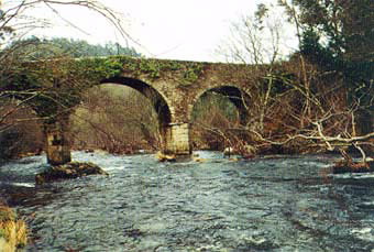 PONTE DE O PORTO EN RÍO BARBA
