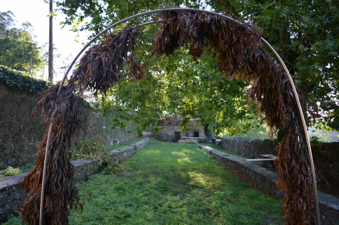 CERCA DA FAGUÍA DE CARNÉS