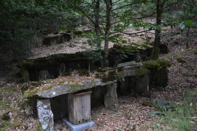 ALVARIZA DE SANSOBRE