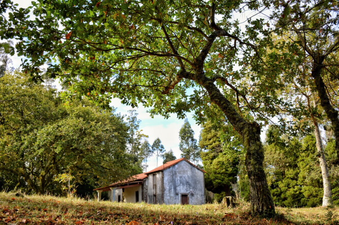 CAPELA DE SAN ROQUE DO MONTE