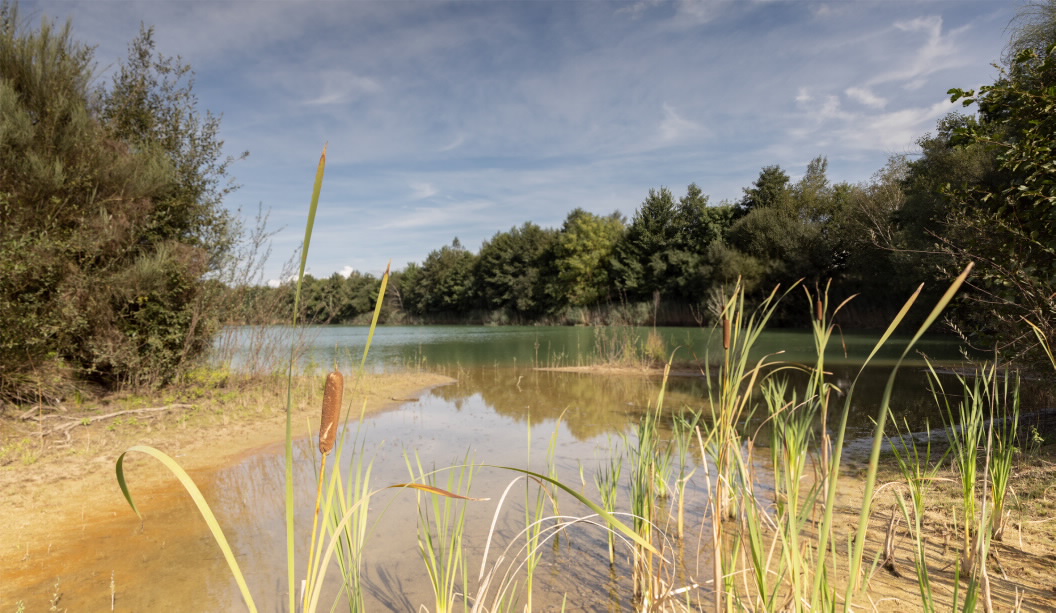 LE CHEMIN ET LA NATURE ENVIRONNANTE ANTIGA LAGOA DE ANTELA IN SANDIÁS  OURENSE - Chemin de Saint Jacques en Galice : site officiel