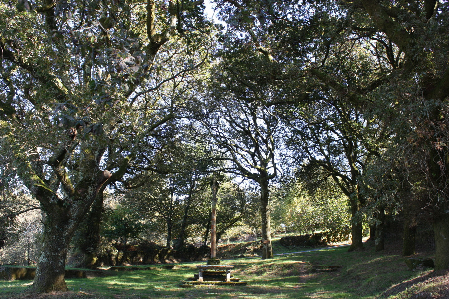 IGREXA DE SAN MARTIÑO DE REBORDELO