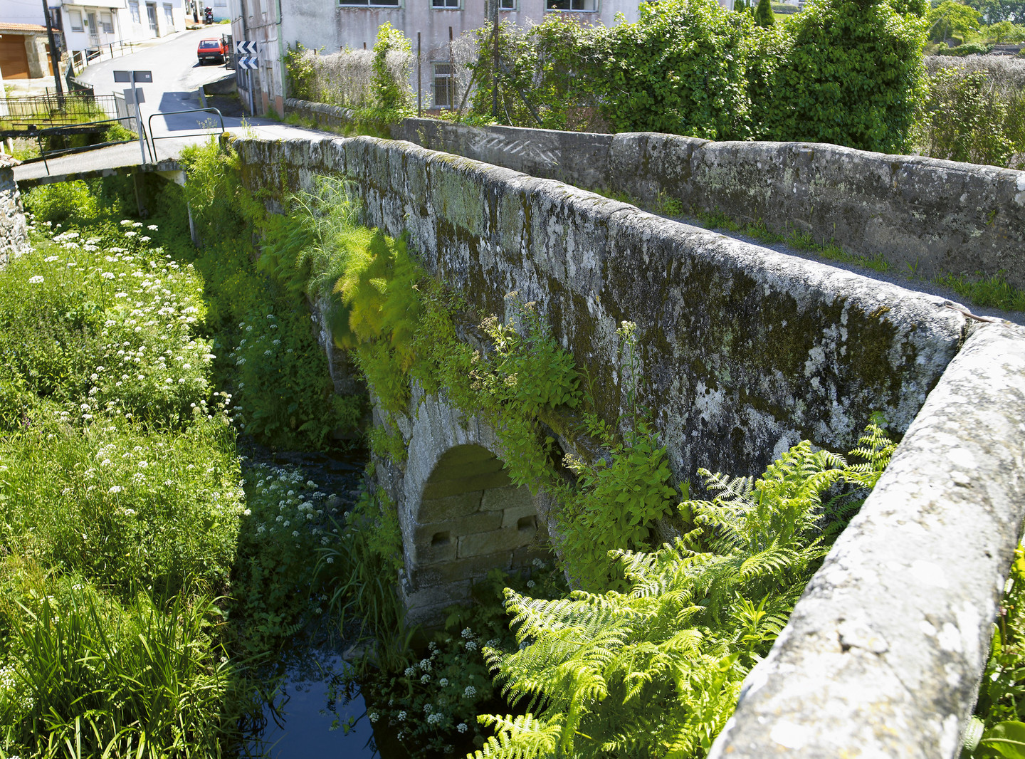 PONTE DE TRABA