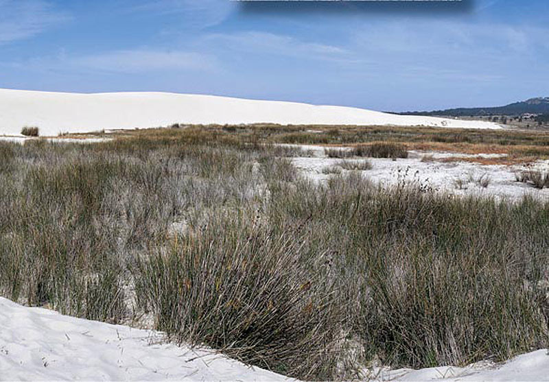 COMPLEXO HÚMIDO DE CORRUBEDO