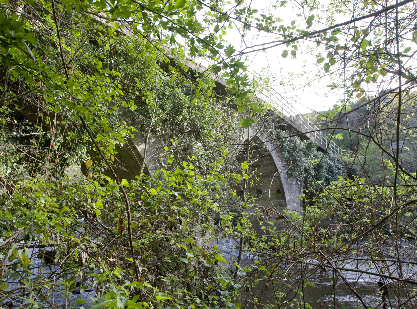 PONTE NOVA O DE GRIXÓ