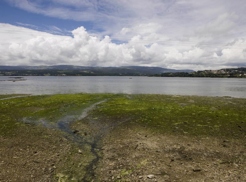 RINLO (CASTIÑEIROS)