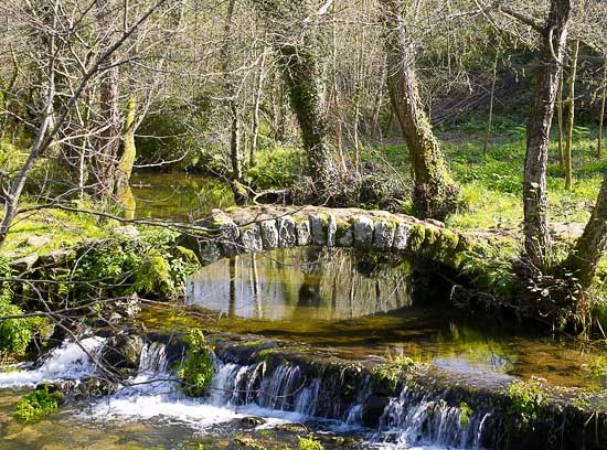 PONTE RÚA DOS FRANCOS
