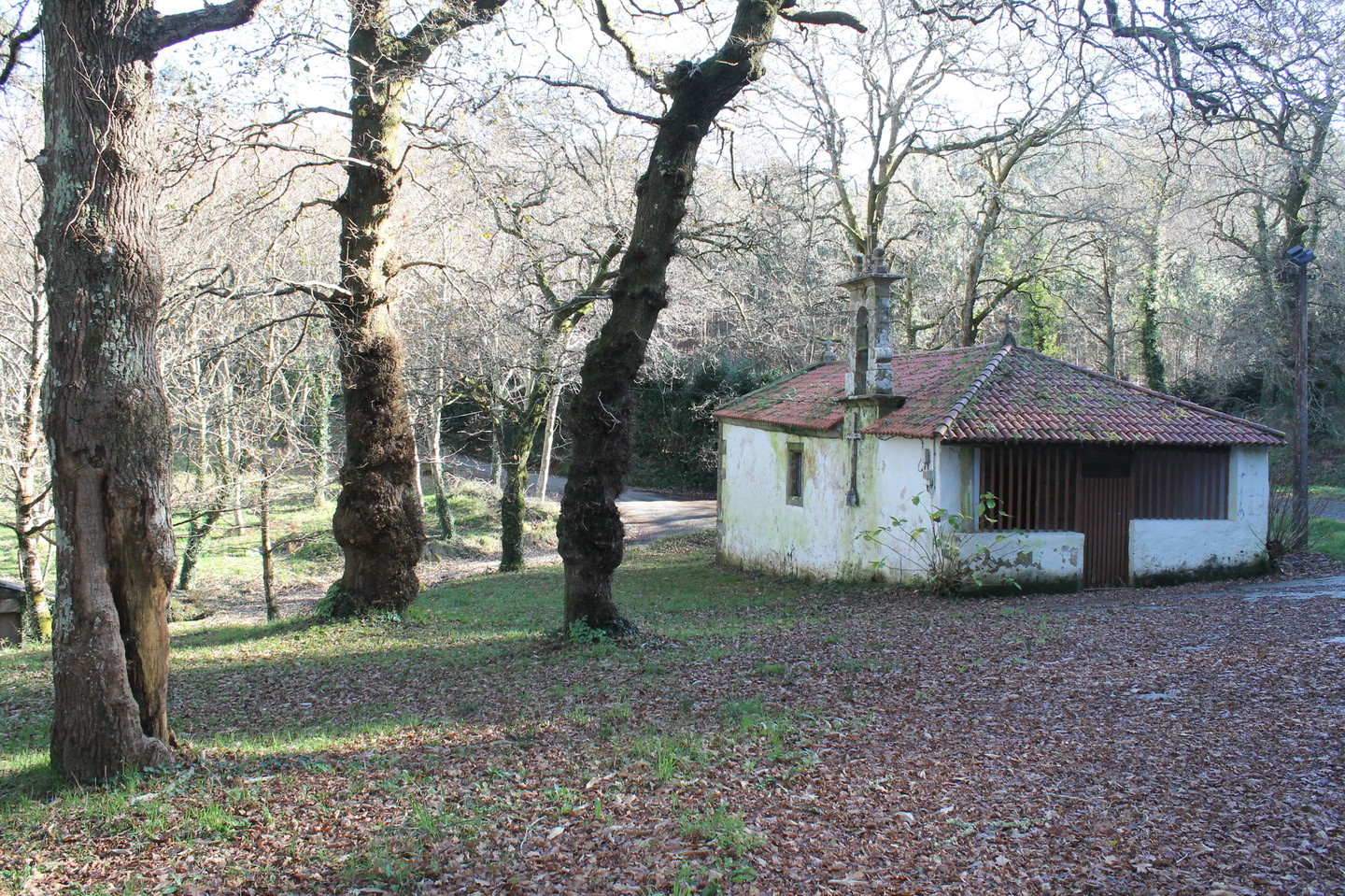 CAPELA DE SAN ANTÓN DE CENTIÑA