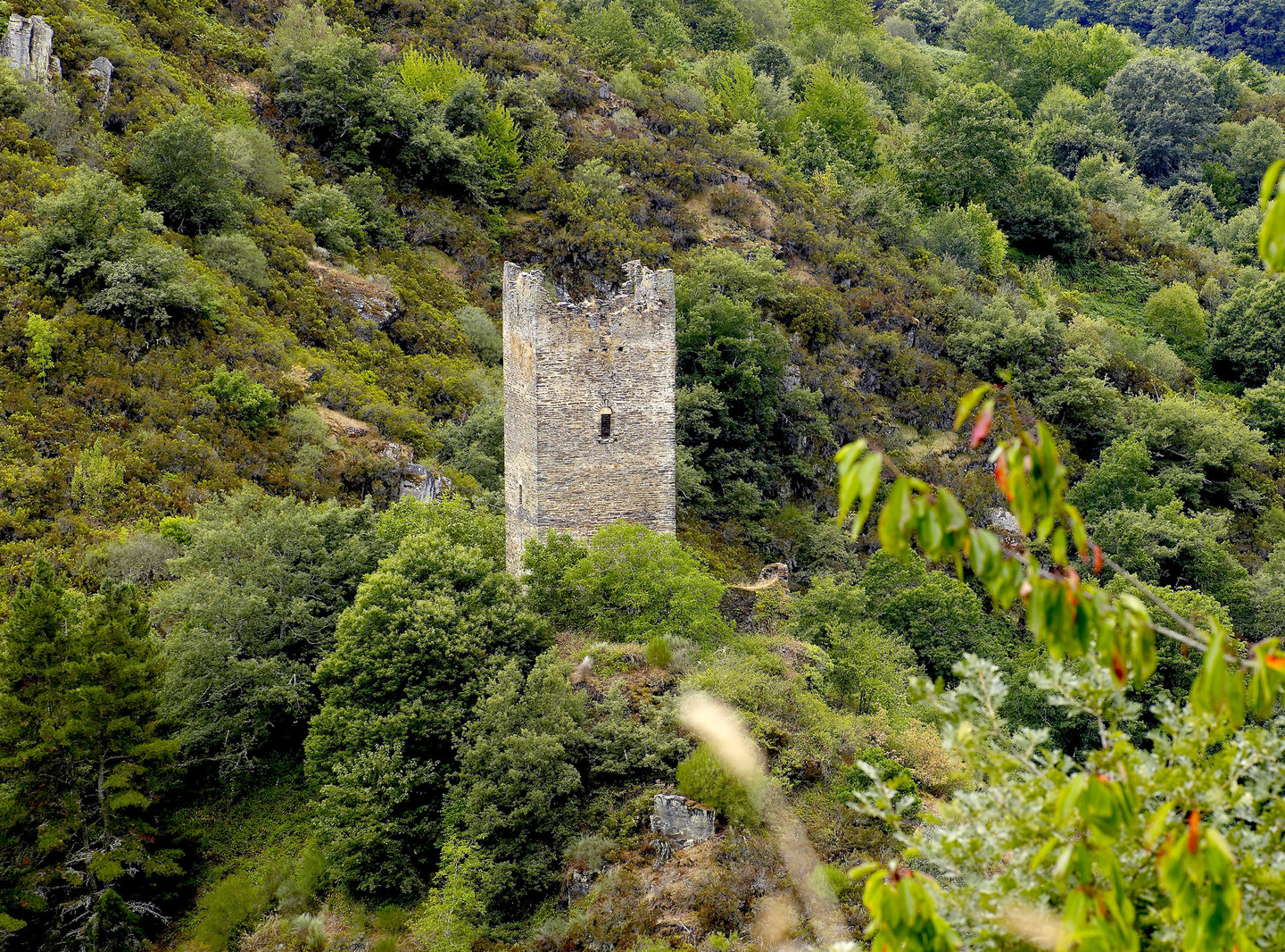 TORRE DE DONCOS