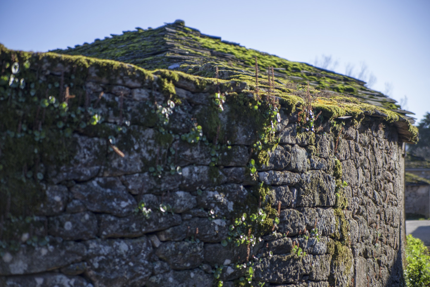 IGREXA PARROQUIAL DE SANTA EULALIA