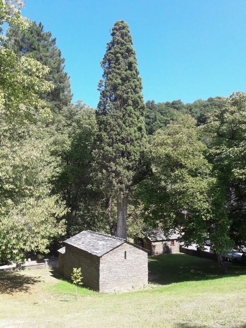 CAPELA DE SAN SALVADOR OU DO CIPRÉS