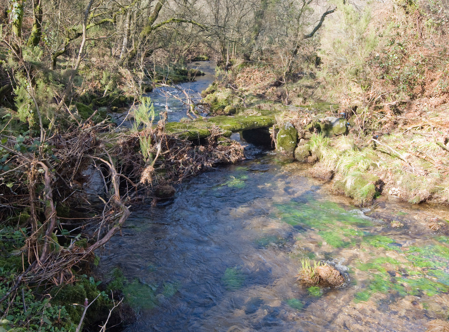 PONTE DO PORTO DAS BURATAS