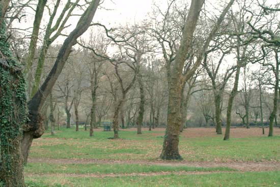 CARBALLEIRA DE CALDAS DE REIS