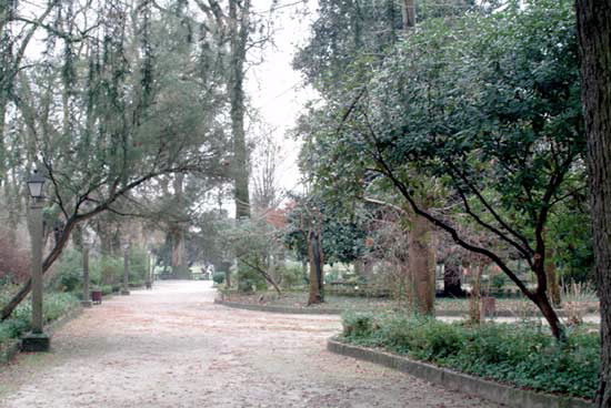 CARBALLEIRA DE CALDAS DE REIS