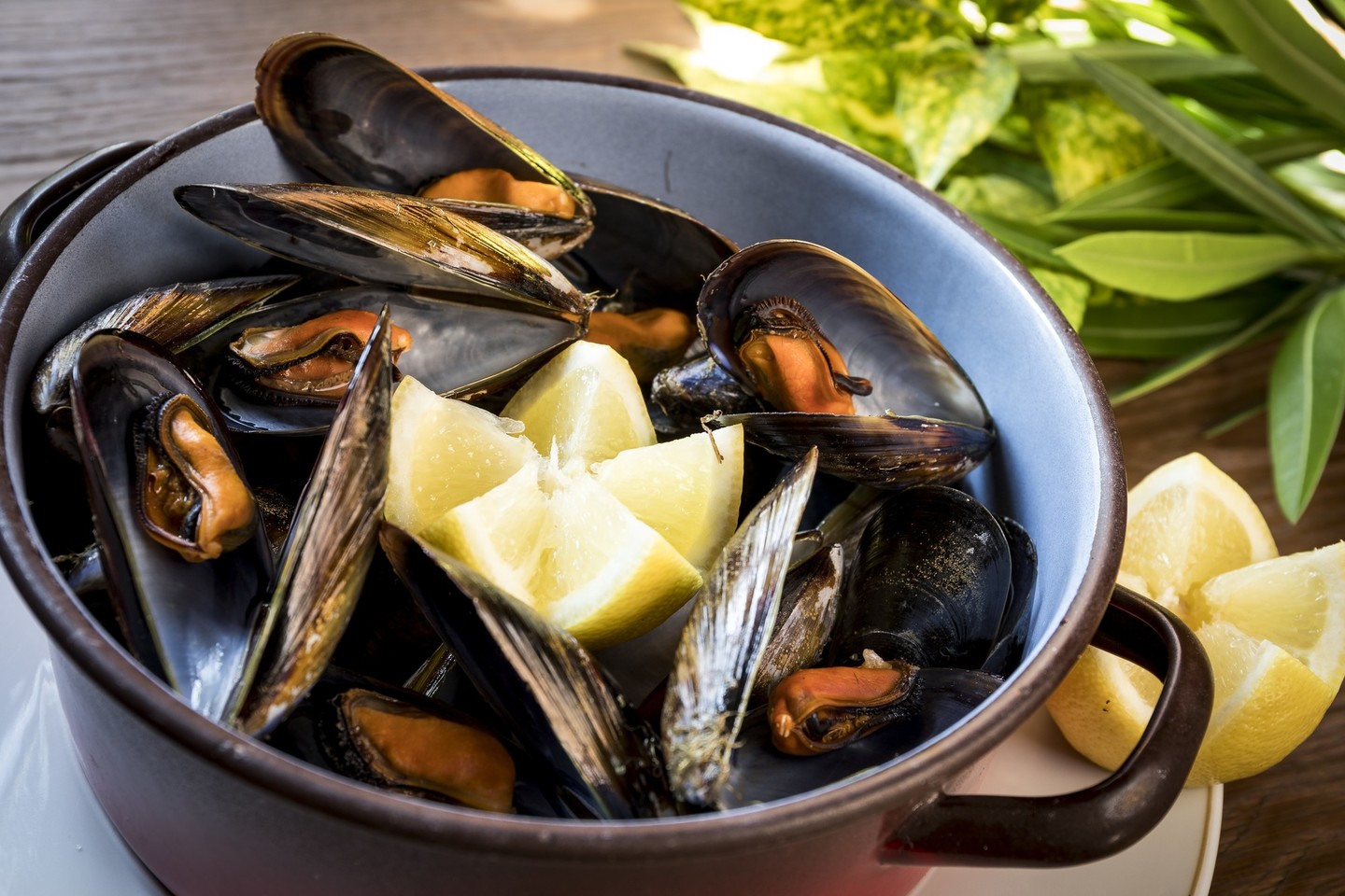 PARADORES DE TURISMO DE ESPAÑA  SME SA - PARADOR DE CAMBADOS