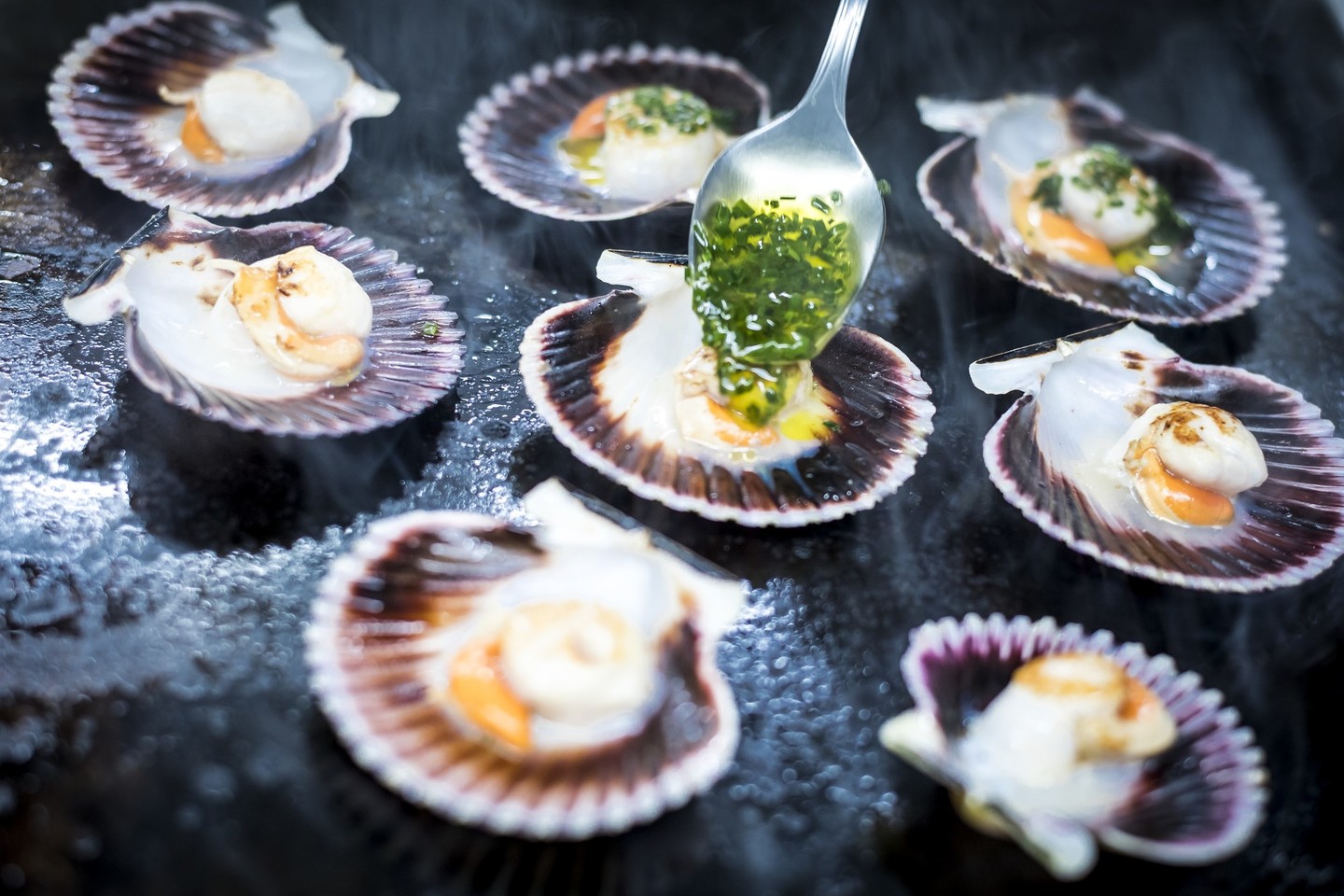 PARADORES DE TURISMO DE ESPAÑA -PARADOR DE PONTEVEDRA