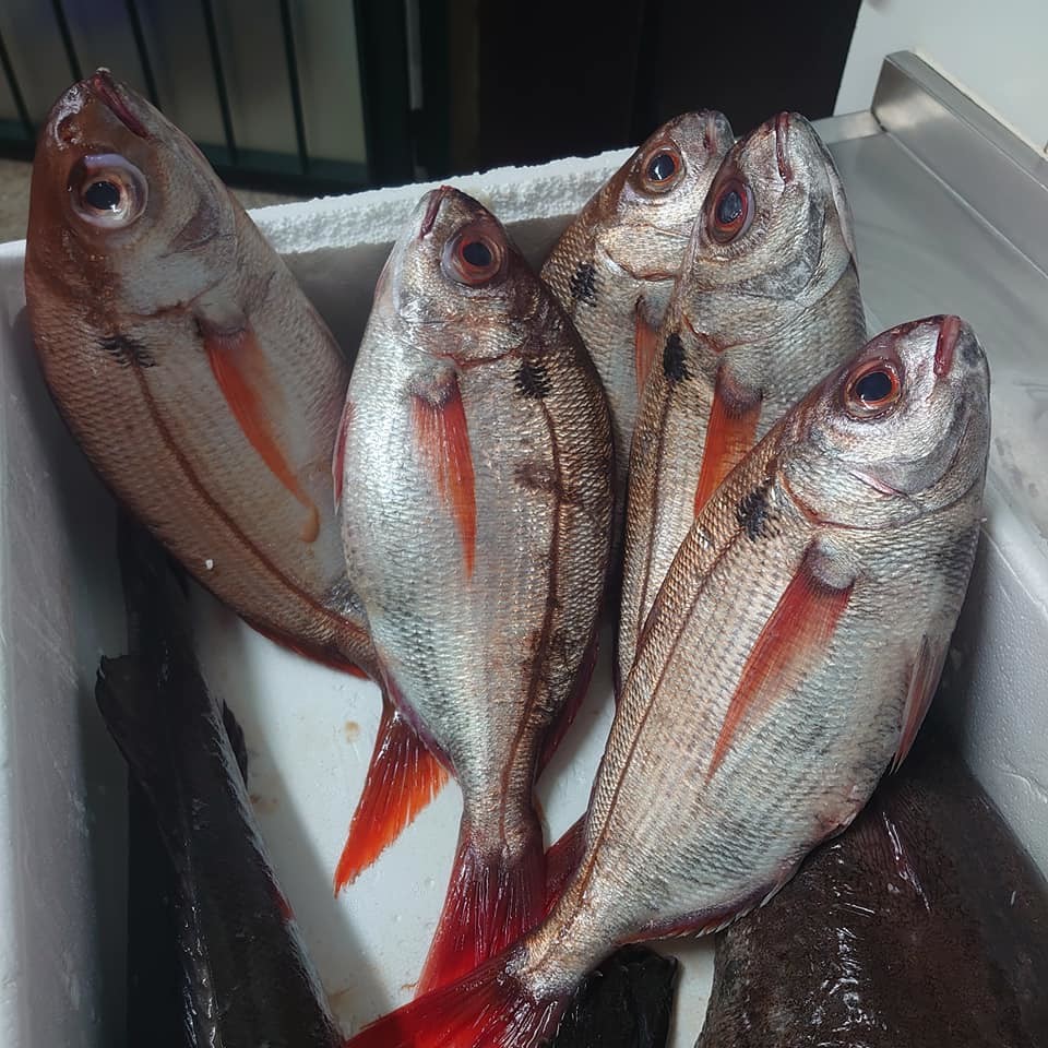 RESTAURANTE EL ARTESANO