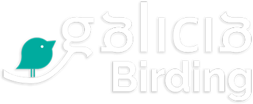 Birding in Galicia