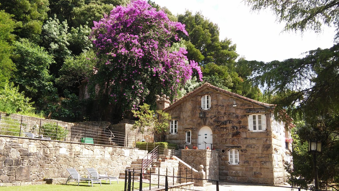 PESQUERÍA DEL TAMBRE