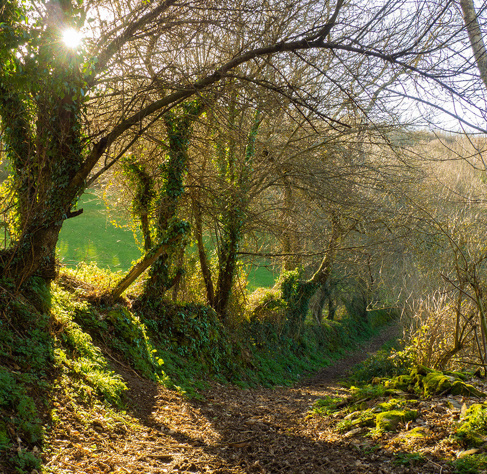OS ANCARES LUCENSES E MONTES DE NAVIA, CERVANTES E BECERREÁ