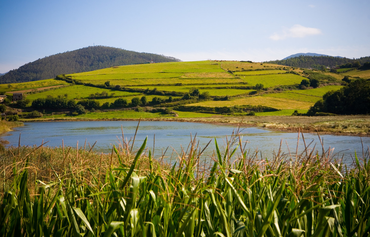 RÍO EO, OSCOS E TERRAS DE BURÓN