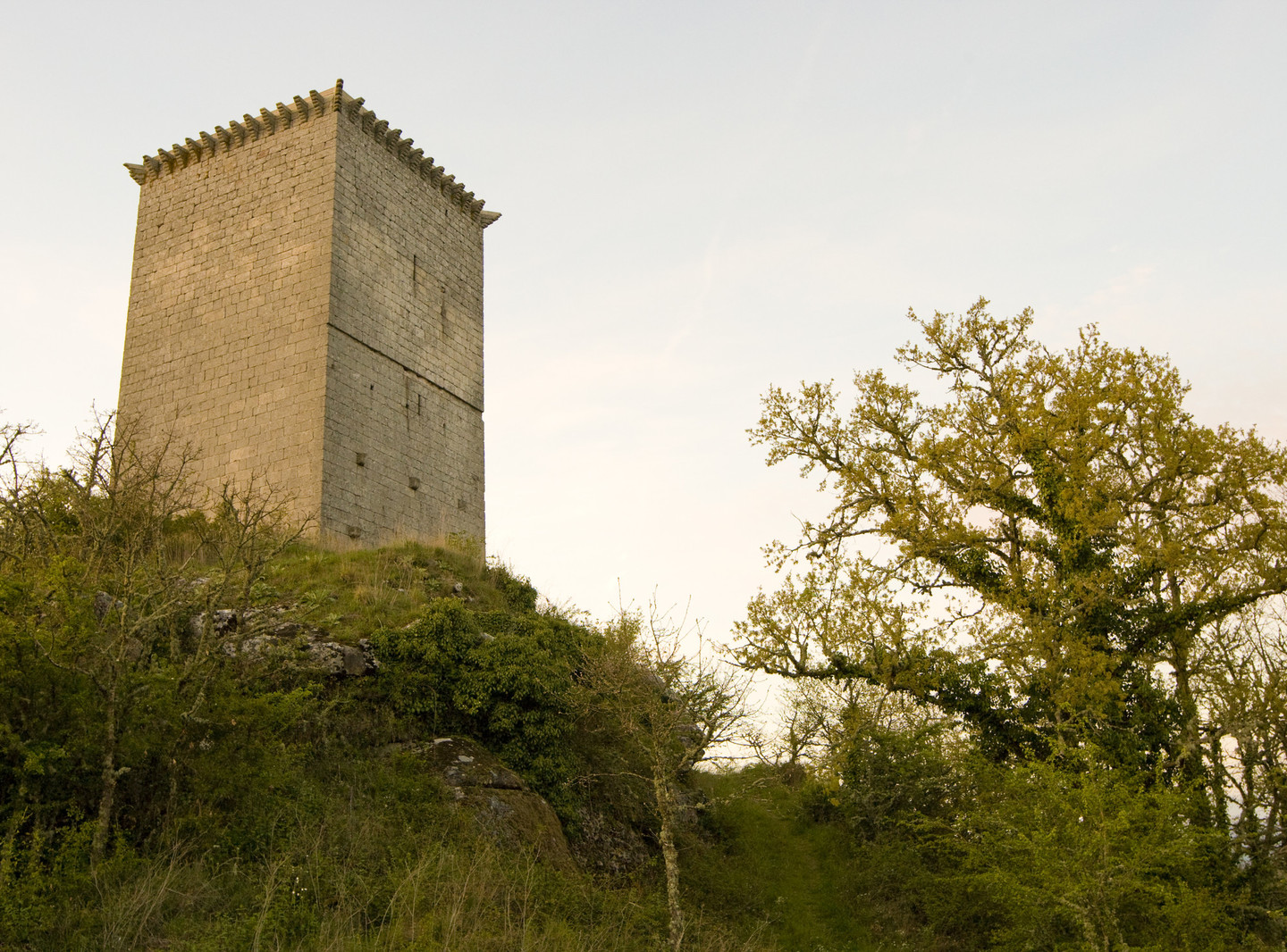TORRE DA PENA