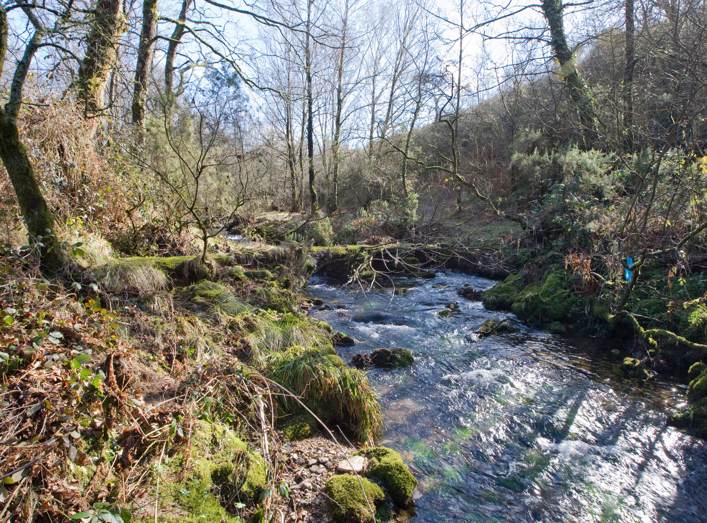 PONTE DO PORTO DAS BURATAS