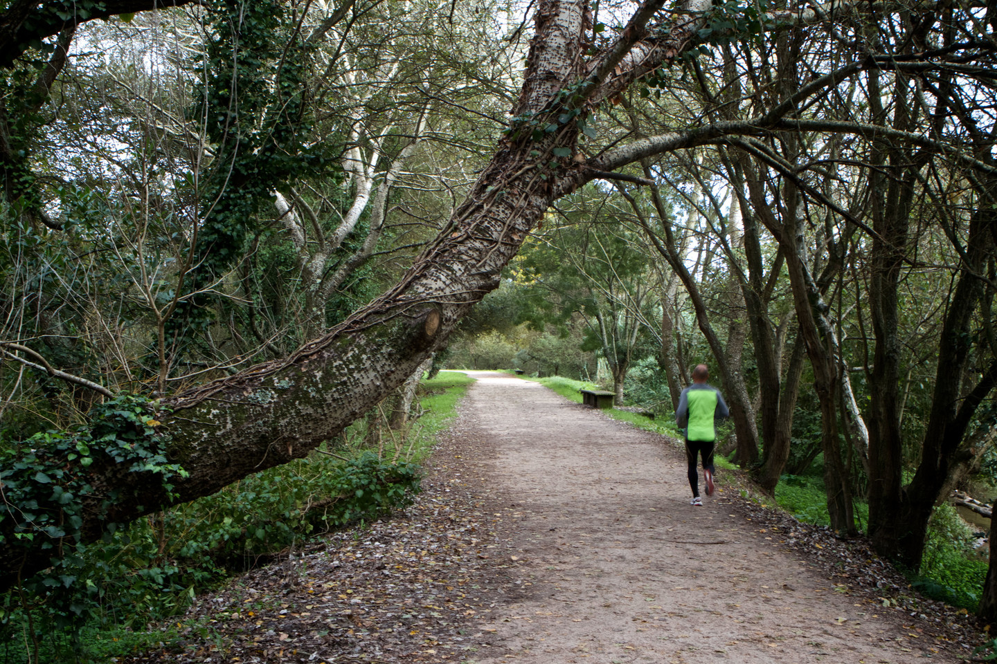 PARQUE LINEAL RÍO LAGARES