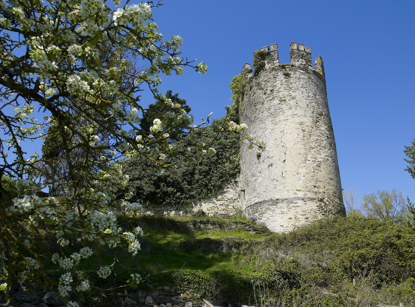 TORRE DE SARRIA