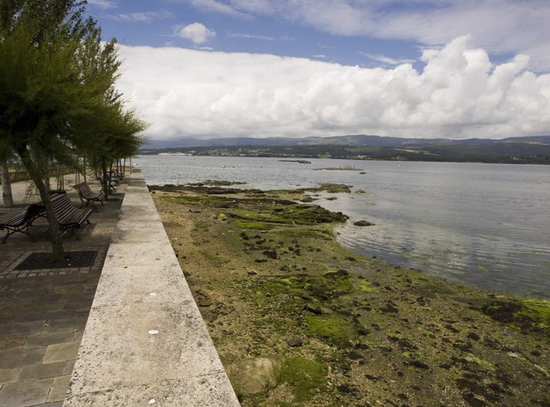 RINLO (CASTIÑEIROS)