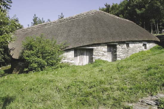 PALLOZAS DE O CEBREIRO