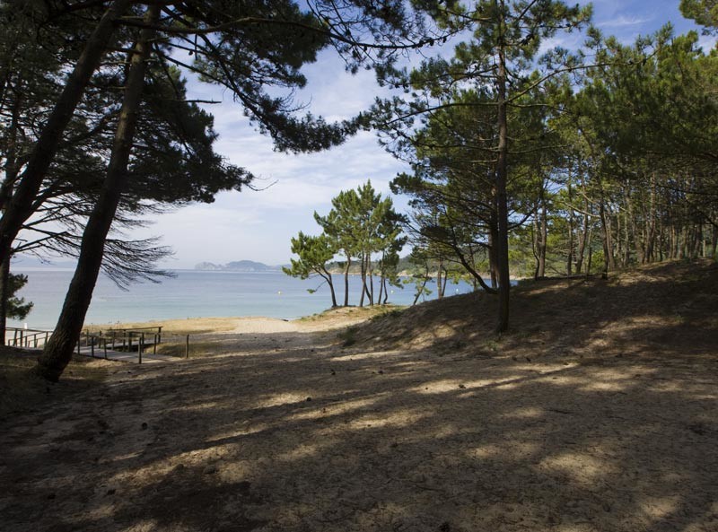 BARRA (ESPACIO NATURAL CABO HOME)