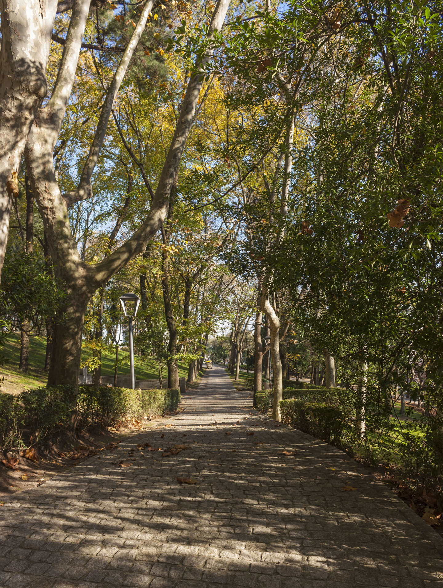 PARQUE DE SANTA MARGARIDA