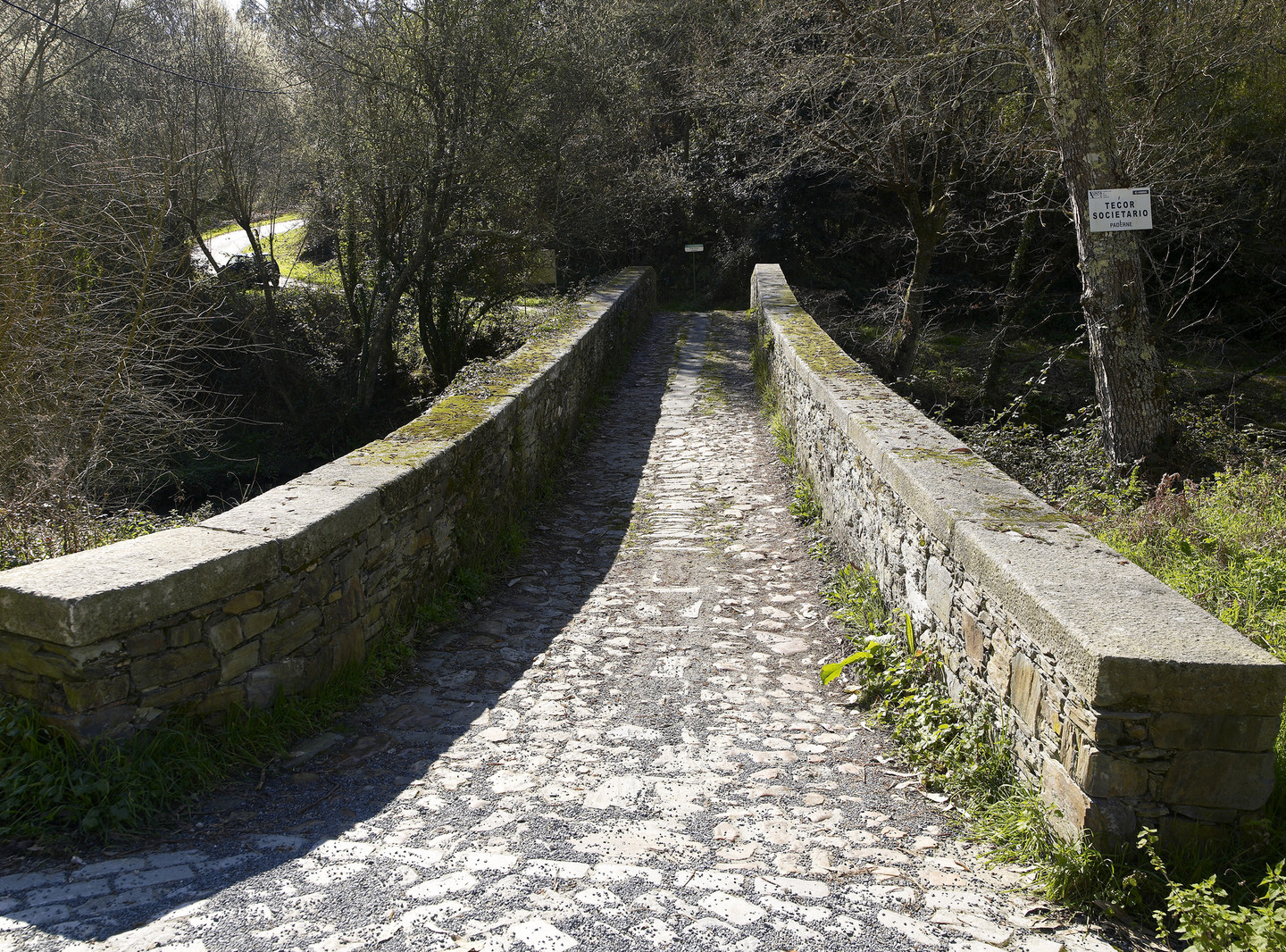 PONTE DE LAMBRE