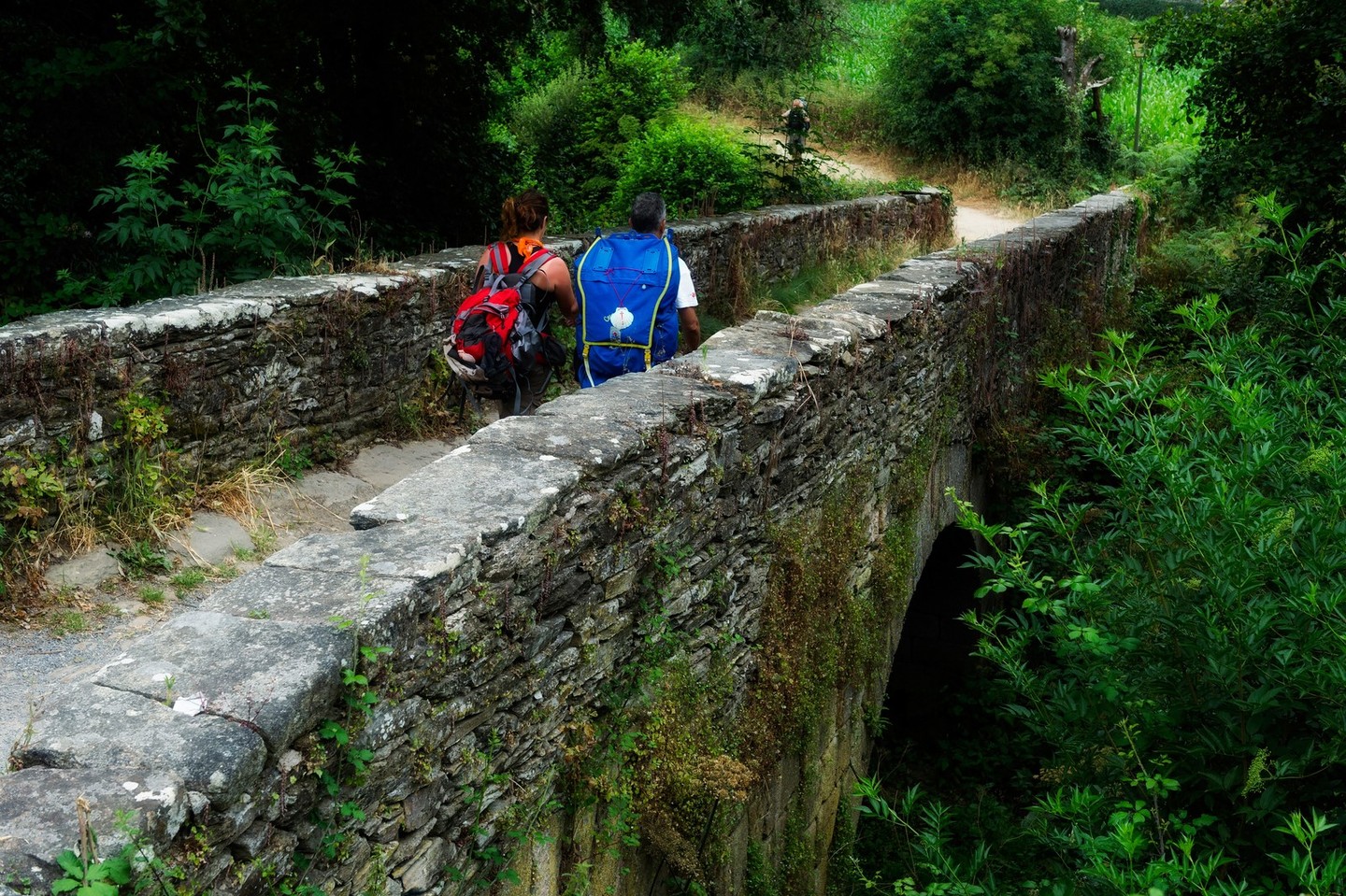 El Camino de Santiago estará muy presente en el congreso.
