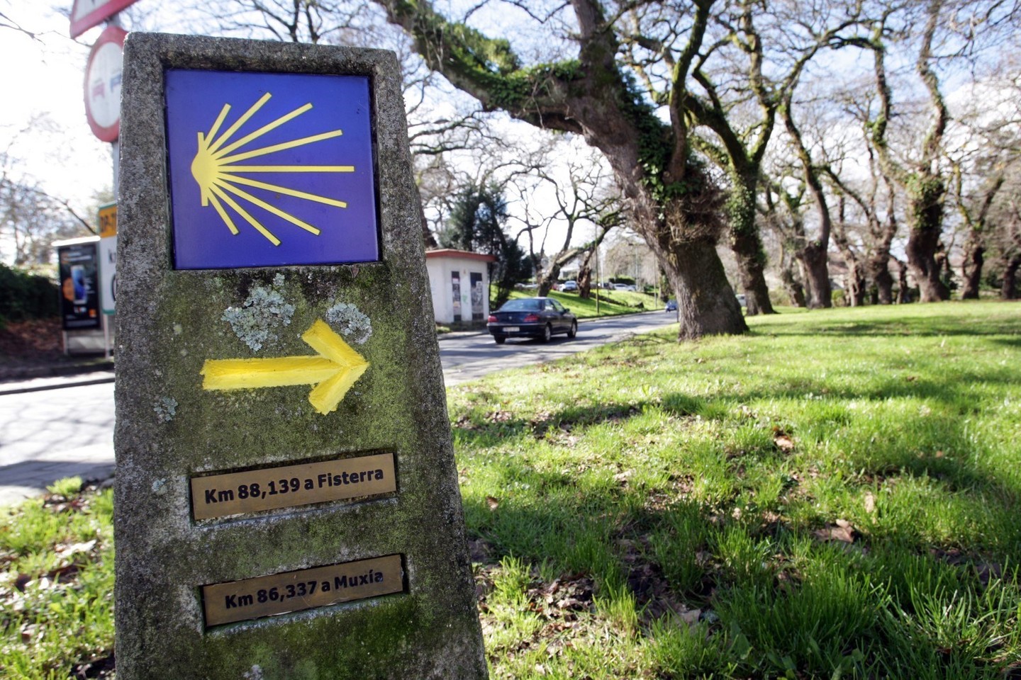 Camiño de Santiago