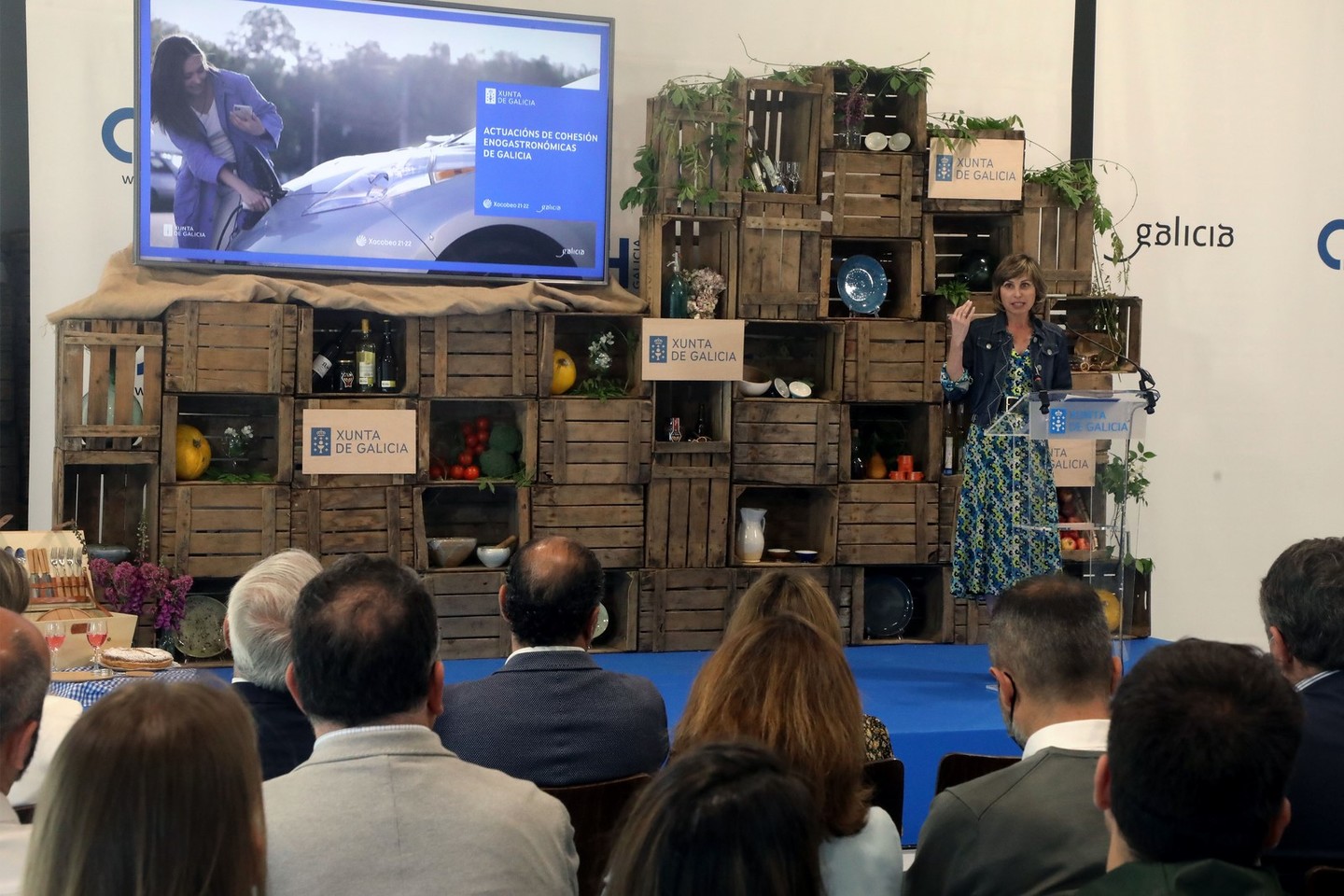 Presentación no CSHG.