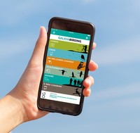 Interfaz da app