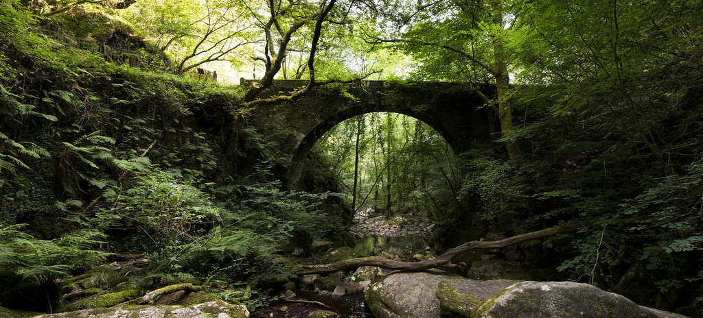 Alle grünen Naturräume zum Entdecken