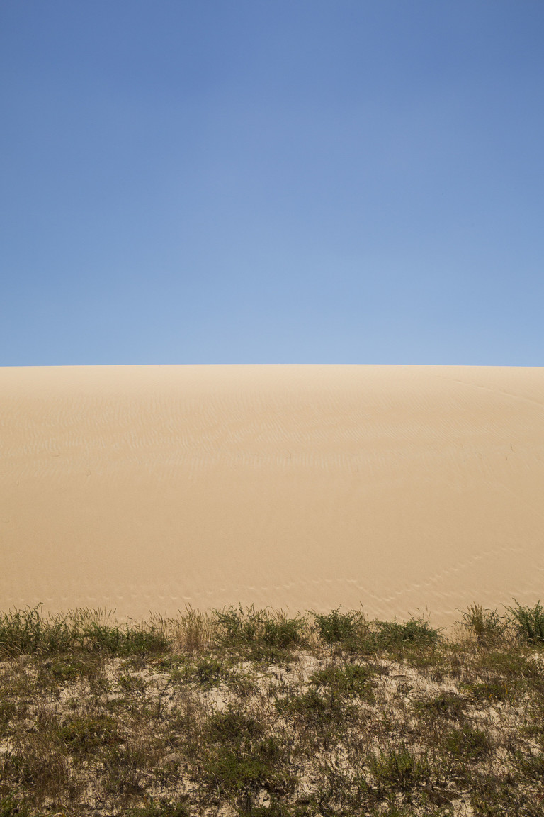 La duna